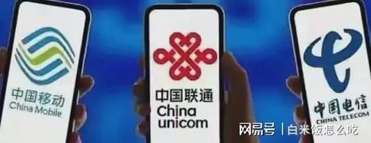 《電信業(yè)務(wù)實(shí)名登記系統(tǒng)技術(shù)要求 第1部分 固定電話和移動(dòng)電話卡》在移動(dòng)電信業(yè)務(wù)代理服務(wù)中的合規(guī)實(shí)施指南